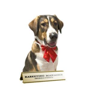 Mutatio mascotte